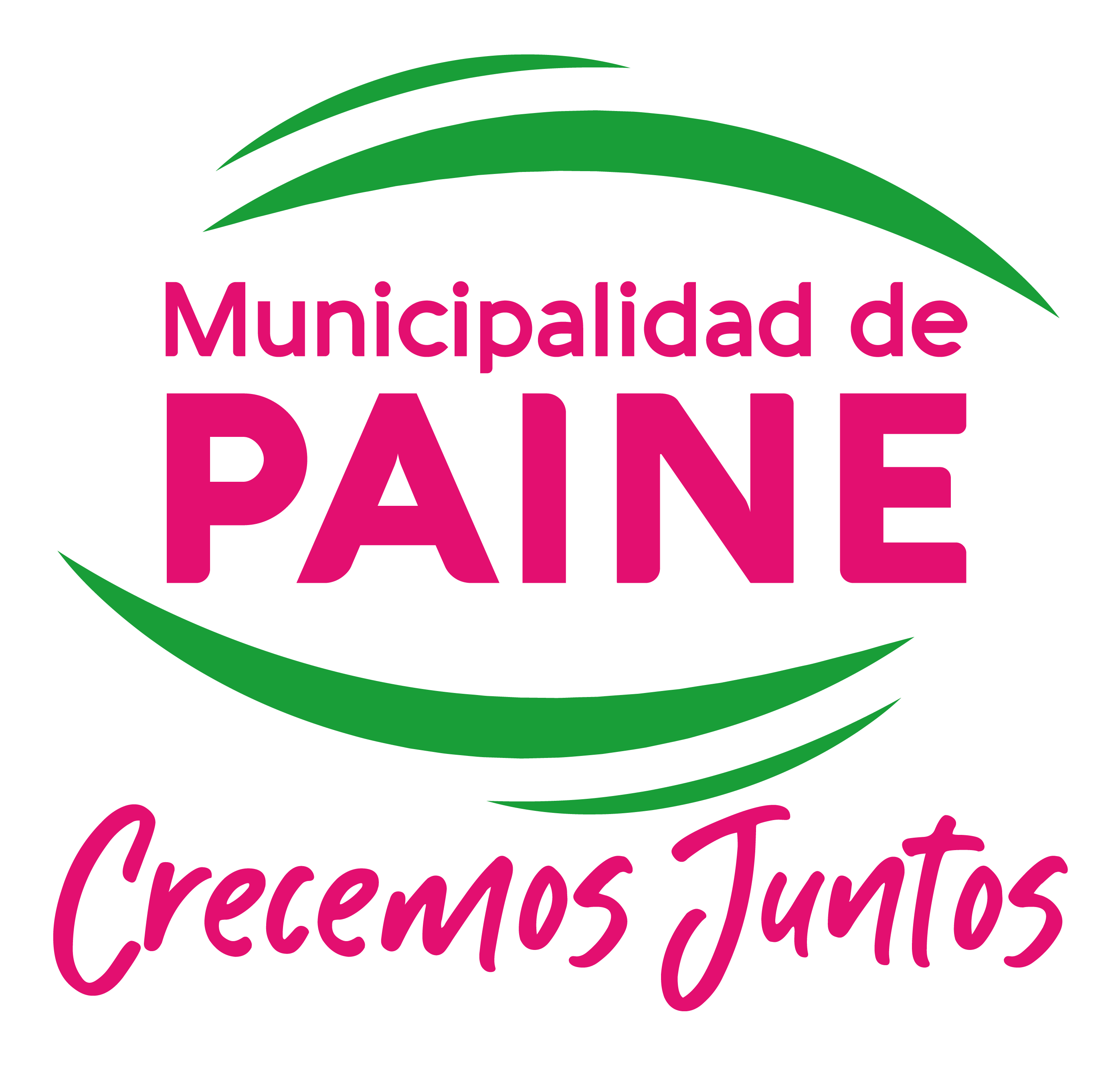 Logo Paine